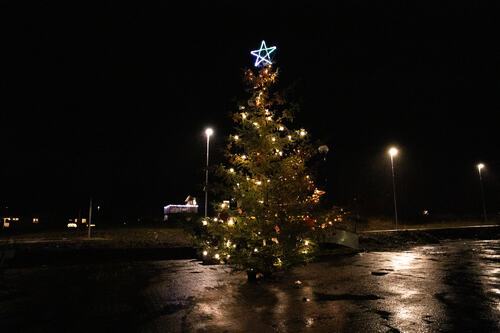 Julegrantenning 2025_Pål_julegrana