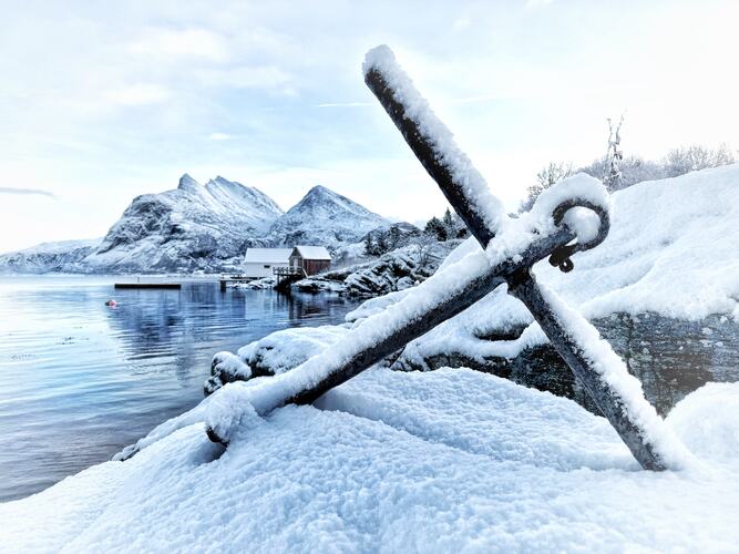 Vinterstemning i fjærkanten. (Foto: Janne Kværne)