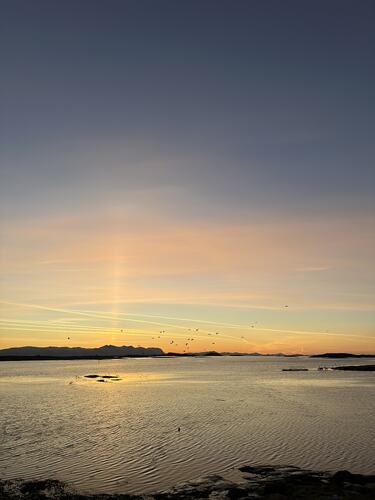 Husvær. (Foto: Sissel Eide Knutsen)