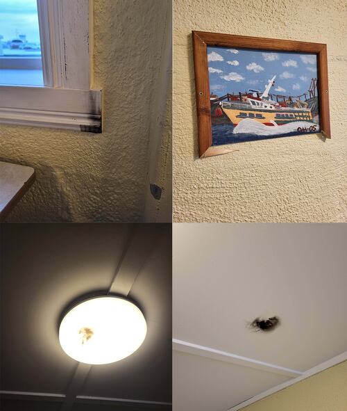 Nymalt venterom på Flostad etter hærverk_flere bilder