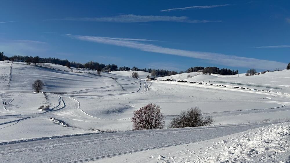 Ski de fond Plaine Joux Les Brasses