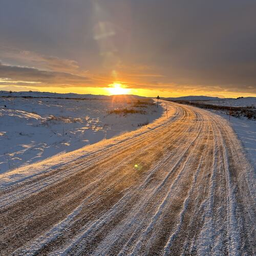 Takk for sola. (Foto: Tone Evelyn Hansen)