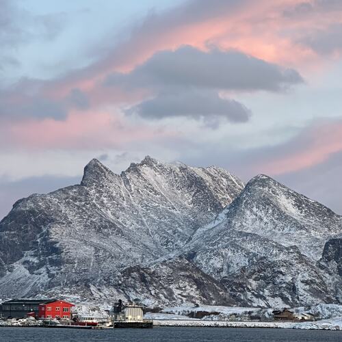 Dønnamannenen koser seg i januarlyset. (Foto: Tone Evelyn Hansen)