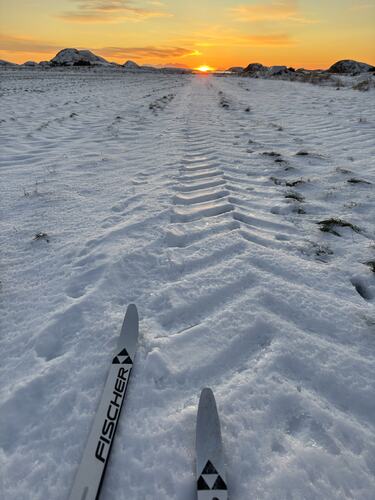 Skitur med belønning på Ytre Øksningan. (Foto: Lisbeth Larsen)