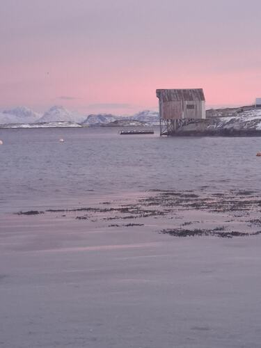 Naustet på Vesterneset. (Foto: Kirsti Karlsen)