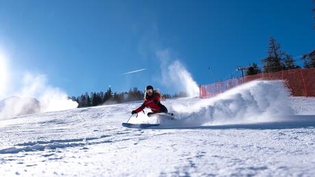 webcam Vars la Forêt Blanche