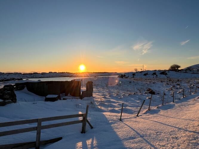 Ho varme. (Foto: Elbjørg Larsen)