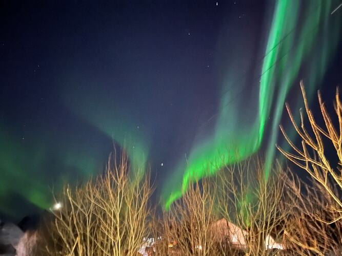 Nordlysbonanza. (Foto: Elbjørg Larsen)
