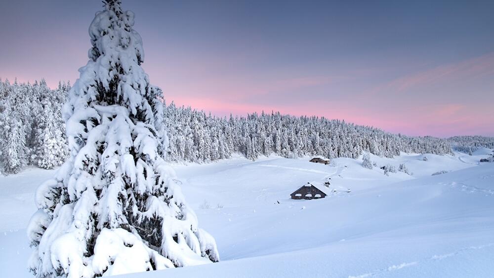 Webcam Hautes Combes