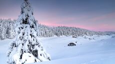 Webcam Hautes Combes