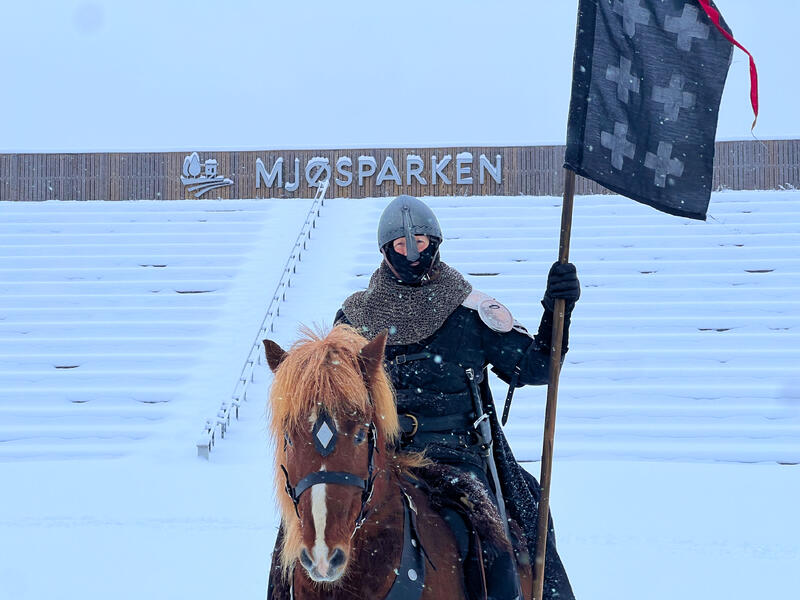 Rytter med brynje og hjelm på islandshest