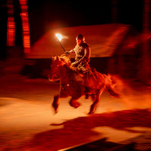 Rytter på islandshest i galopp