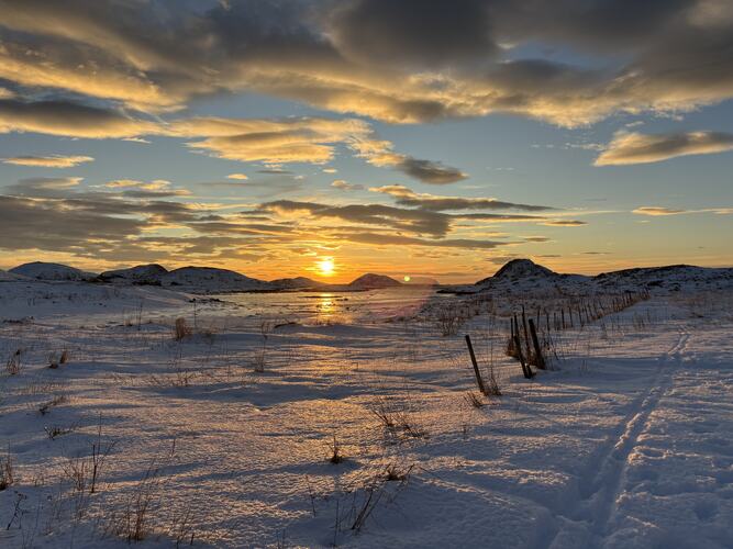 20.dag jul på Hjelmsøyneset. (Foto: Lisbeth Larsen)