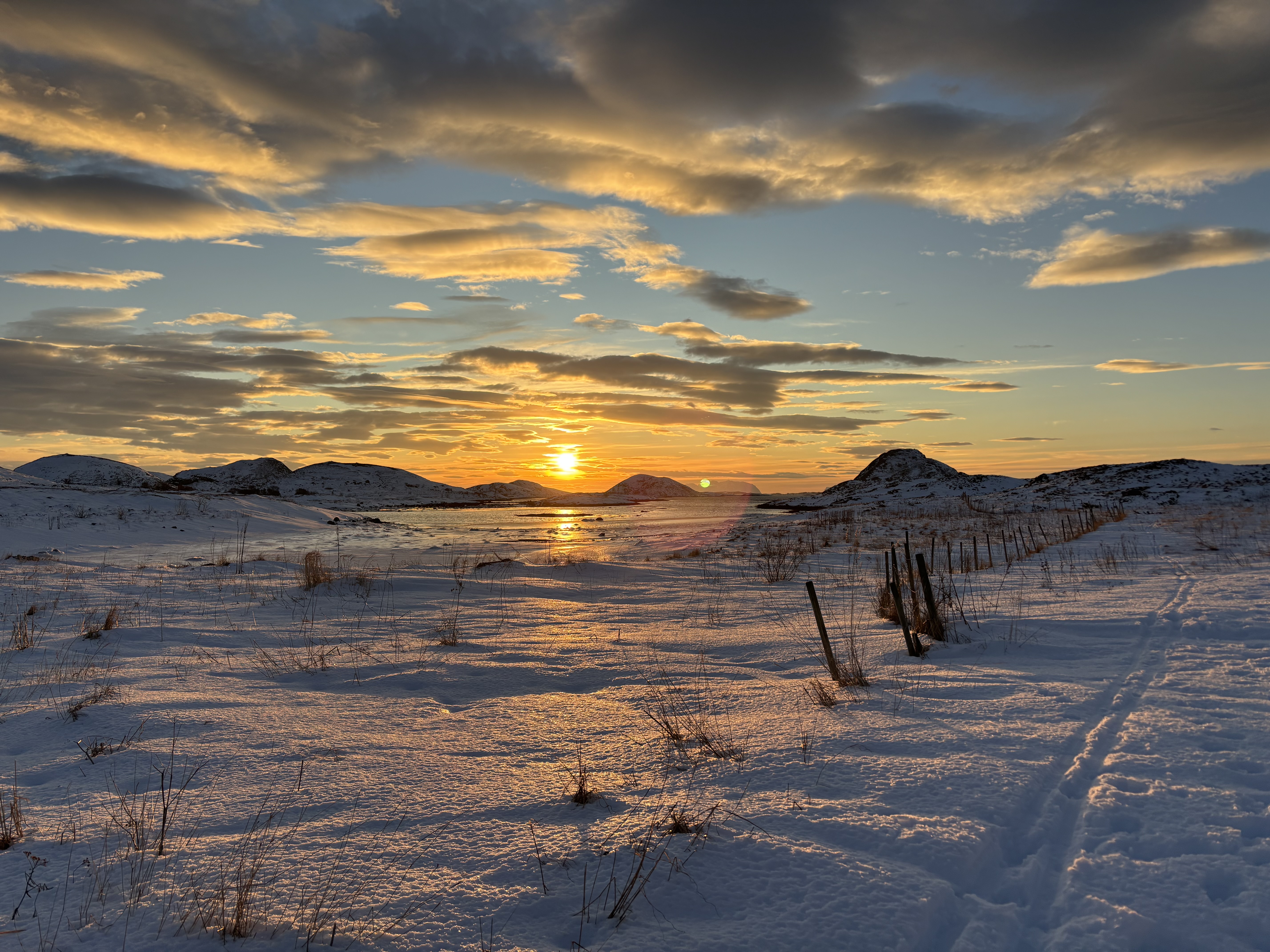 20.dag jul på Hjelmsøyneset. (Foto: Lisbeth Larsen)