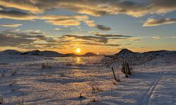 20.dag jul på Hjelmsøyneset. (Foto: Lisbeth Larsen)
