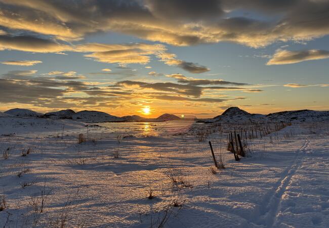 20. dag jul på Hjelmsøyneset. (Foto: Lisbeth Larsen) 20.dag jul på Hjelmsøyneset. (Foto: Lisbeth Larsen)