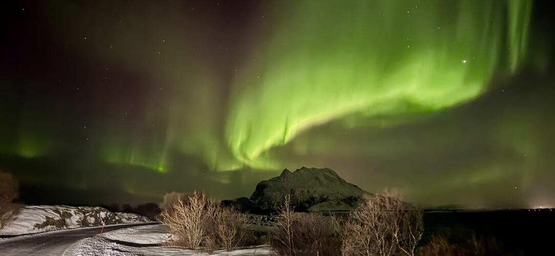 Dønnamannen flørter med Aurora. (Foto: Bente Lien)