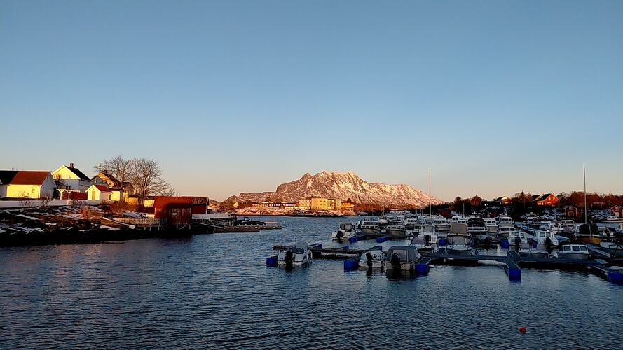 Fint fra Herøysundet marina. (Foto: Kristin Grande)