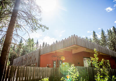 Prøysenhuset i solskinn