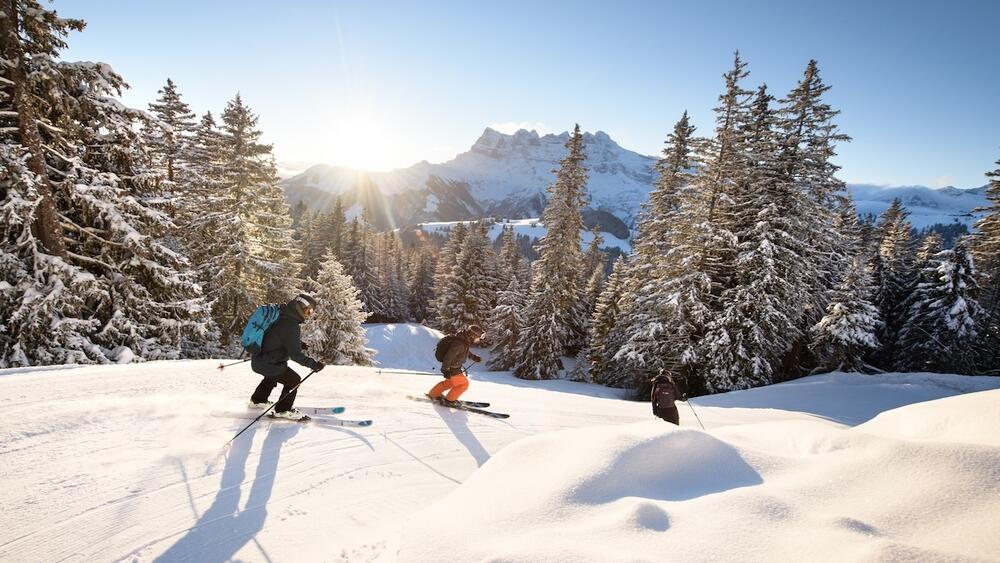 Webcam Dents du Midi, Morgins, les Crosets