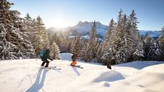 Webcam Dents du Midi, Morgins, les Crosets