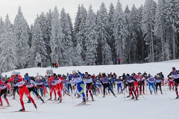 Photo : Organisation