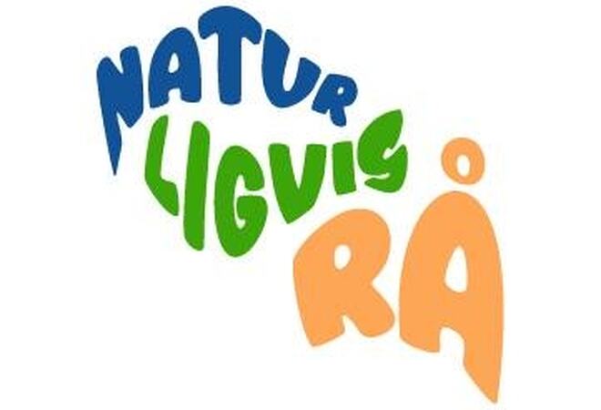 Logo NaturligvisRå