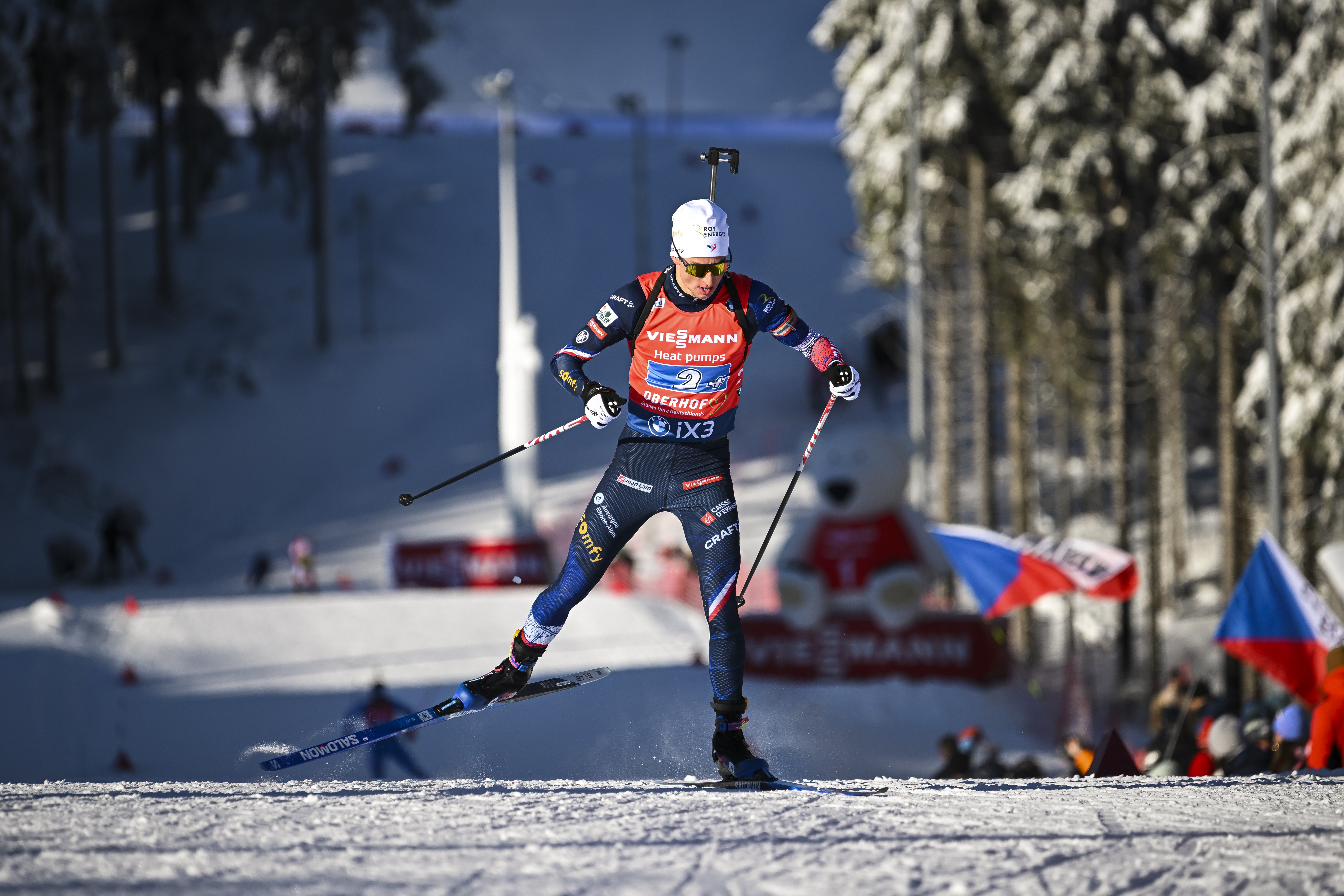 Perrot11126la420 (1).JPG