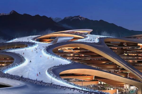 Photo : Organisation