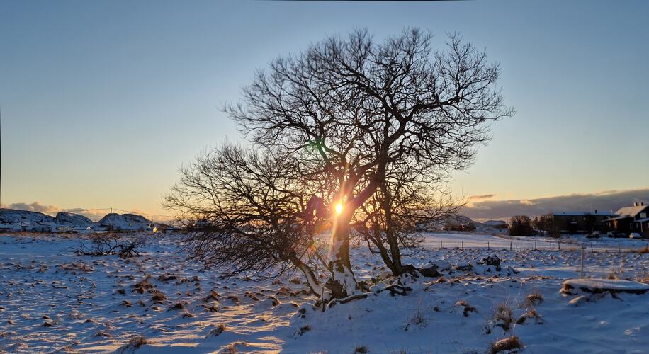 Sola er lenge oppe nå. (Foto: Elsa Jakobsen)