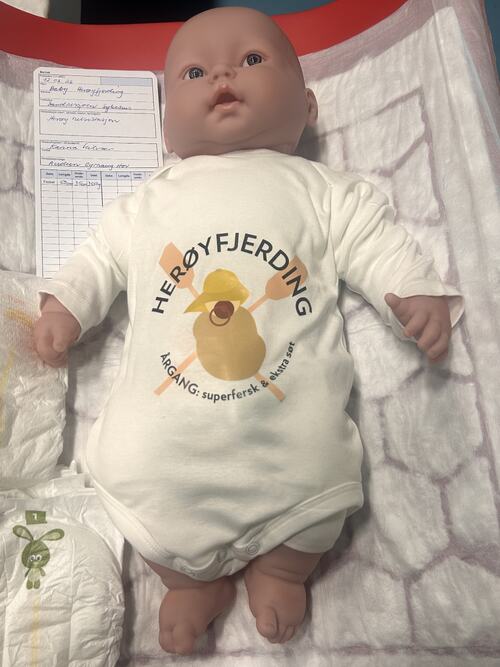 Yrkesmesse 2026_HOS baby