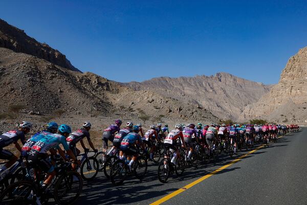 Photo : Organisation