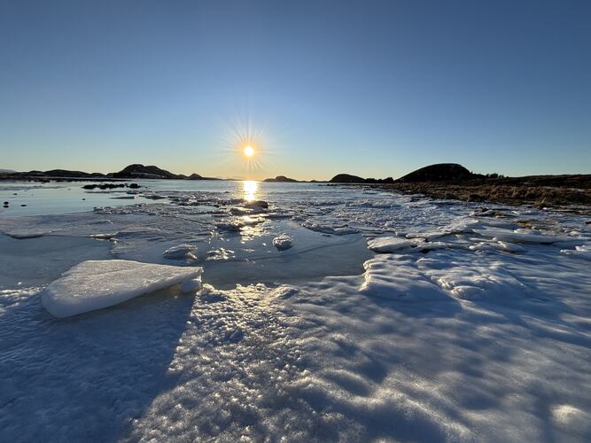 Vinterfjæra. (Foto: Lisbeth Larsen)