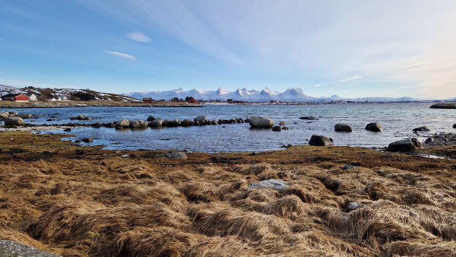 Vår i luften. (Foto: Elsa Jakobsen)