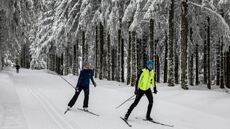 Ski de fond Sancy Massif Central