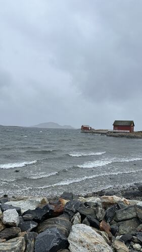 Vardøya venter på våren og nytt liv. (Foto: Tone Evelyn Hansen)
