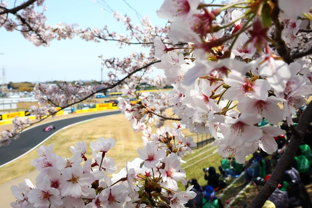 Photo : Organisation