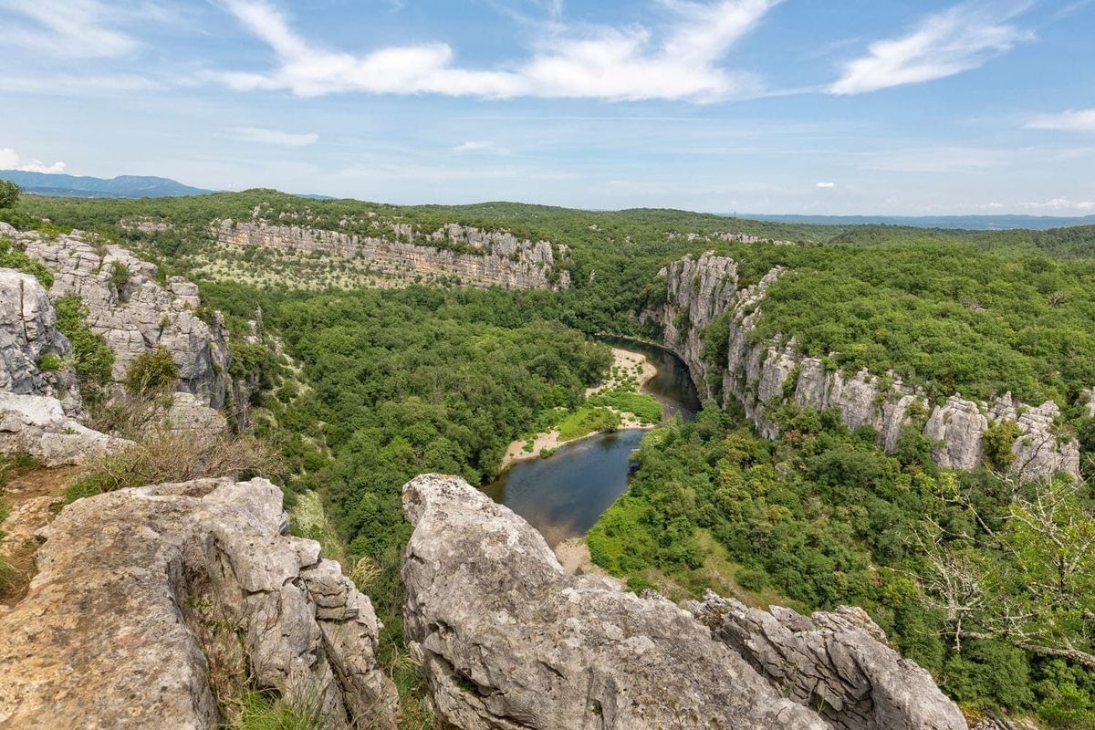 BOIS DE PAIOLIVE.jpg