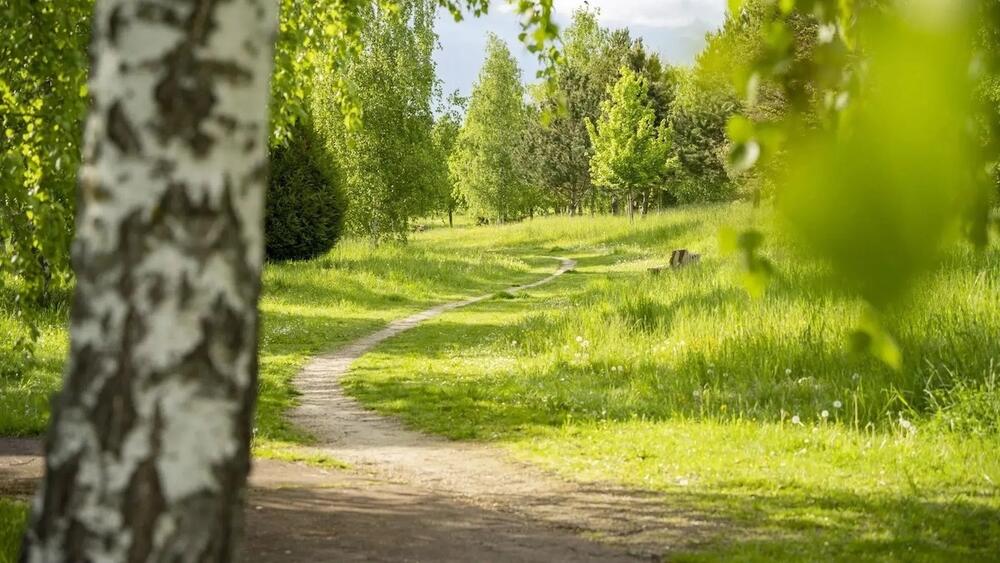 Les plus belles randonnées dans l