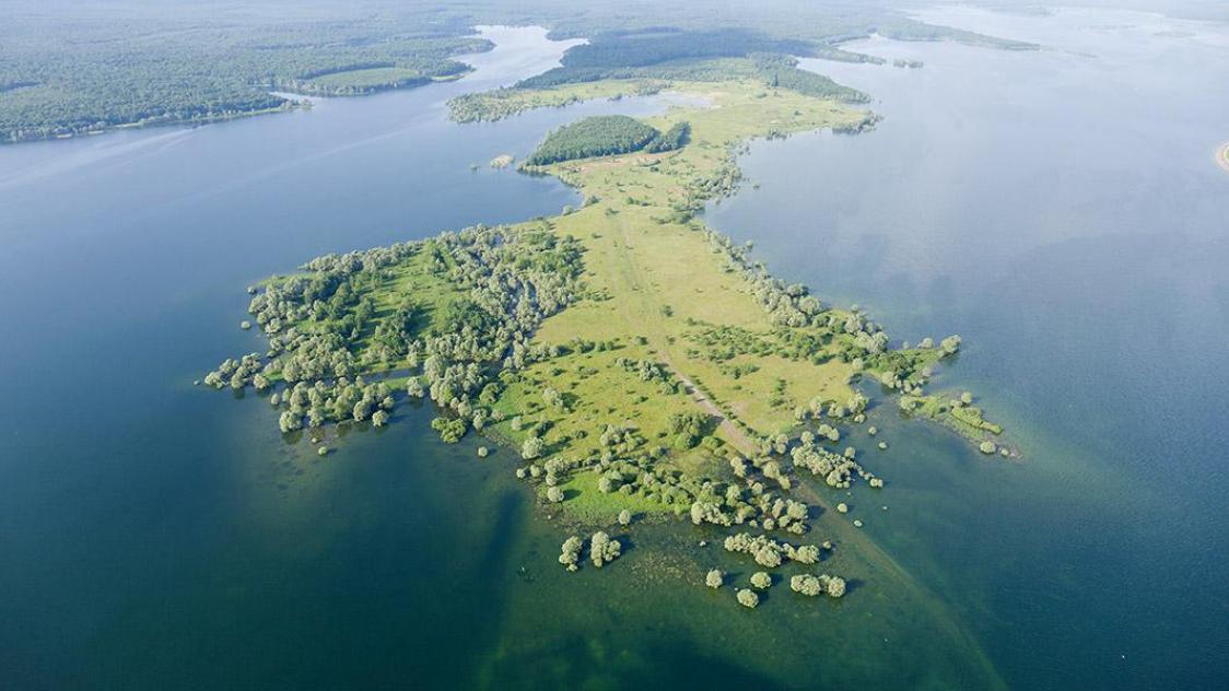 FUTAIE GRAND ORIENT.jpg