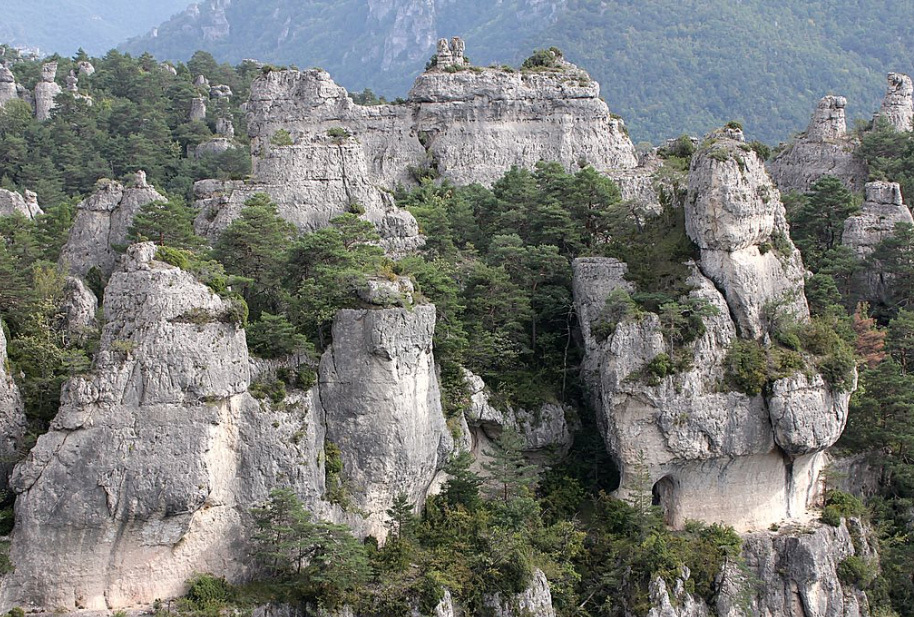 CHAOS MONTPELLIER.jpg