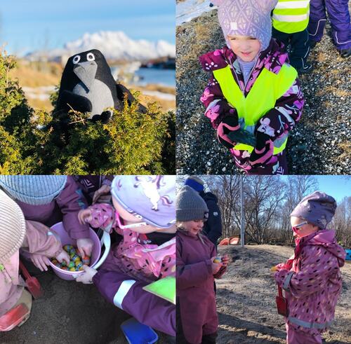 Solli barnhegae - naturoppdraget 4