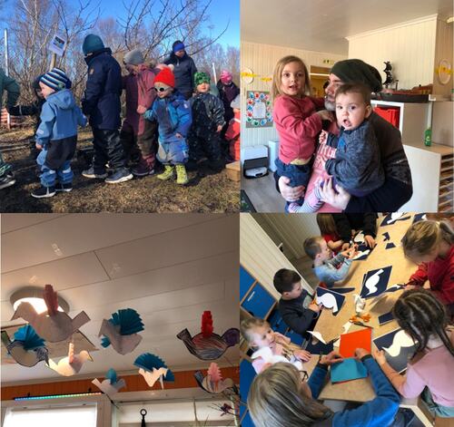 Solli barnhegae - naturoppdraget 5