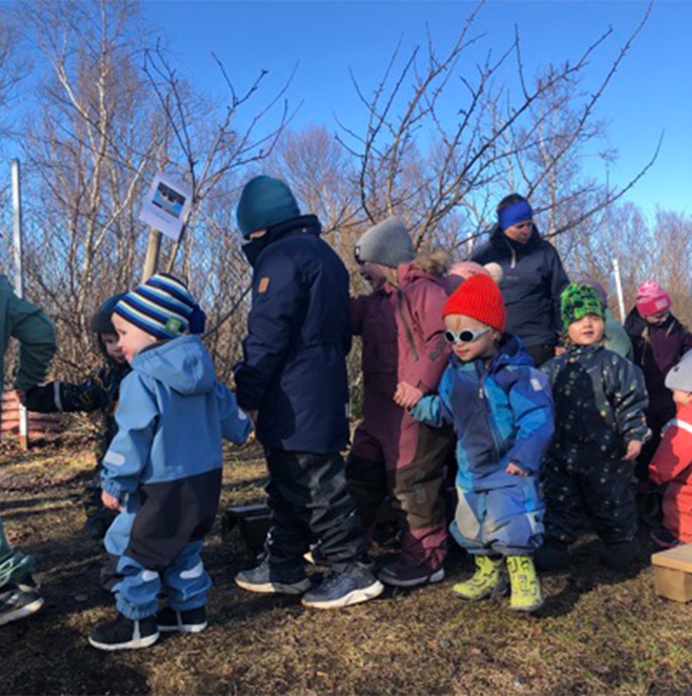 Solli barnhegae - naturoppdraget hoved