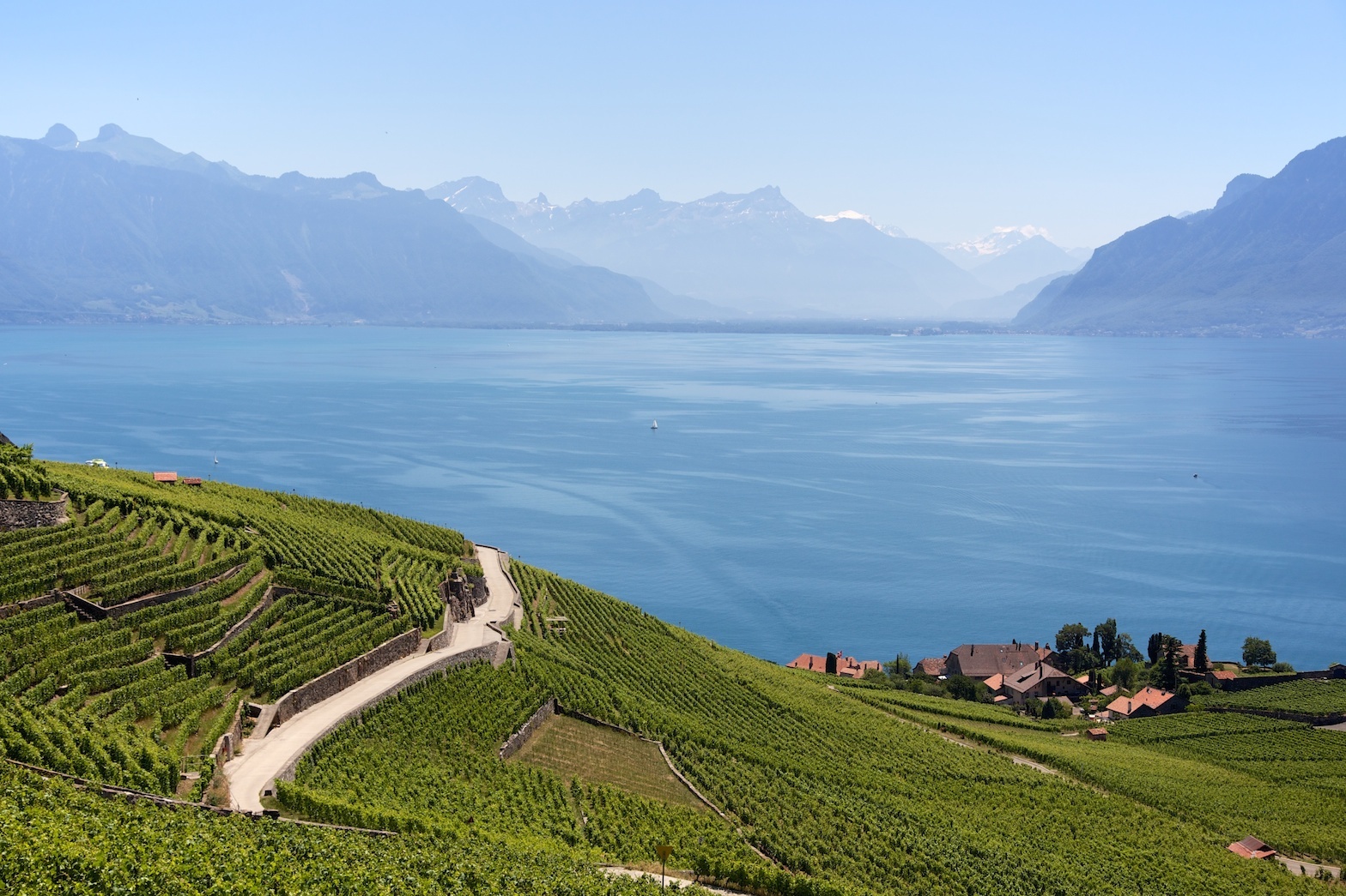 LAVAUX.jpg
