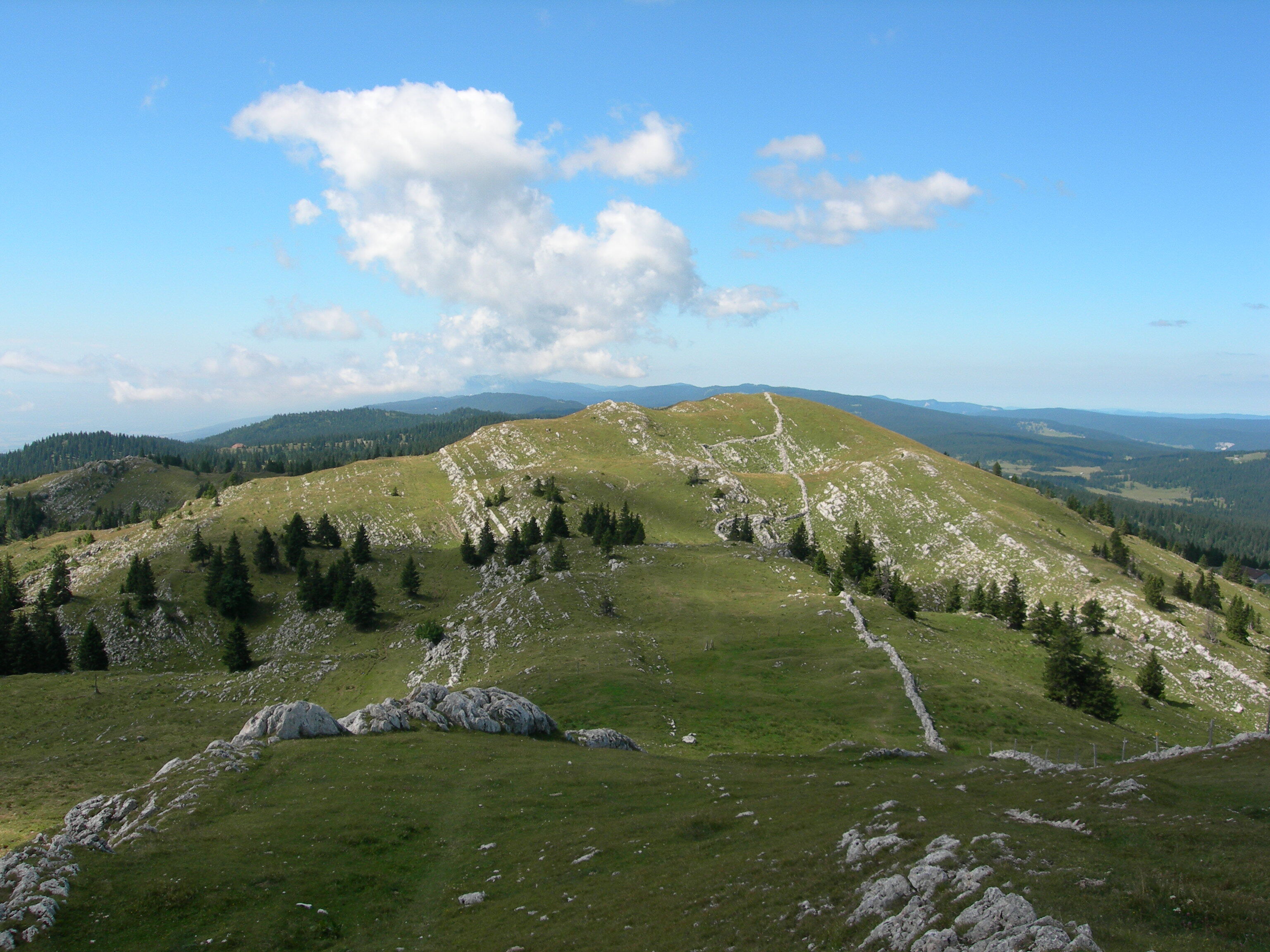 MONT TENDRE.jpg