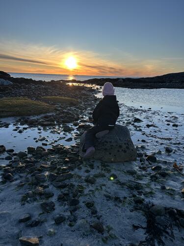 Langfredagsfjære ved Geithammeren. (Foto: Eli Heidi Edvardsen)
