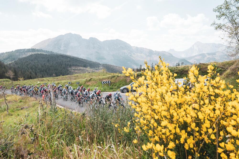 Photo : Organisation