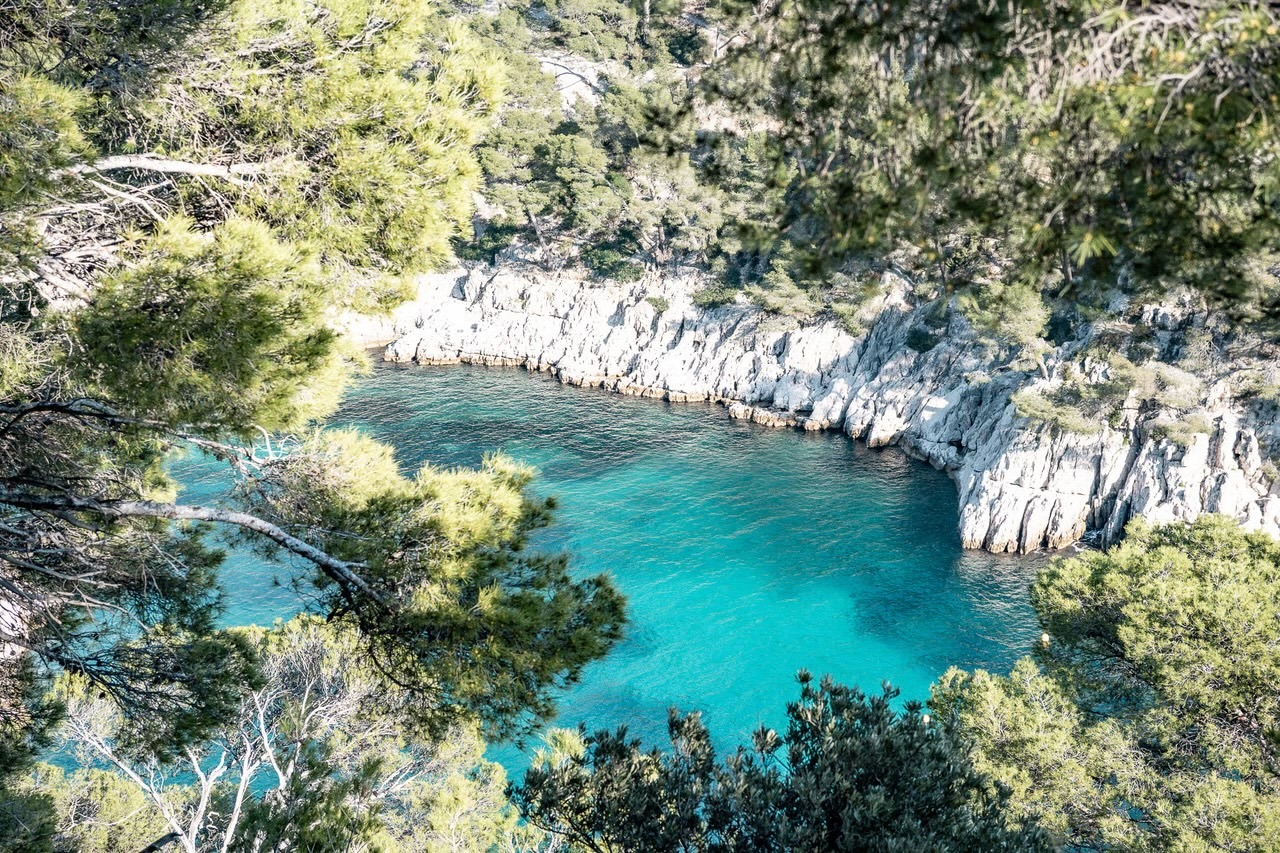 CALANQUE.jpg