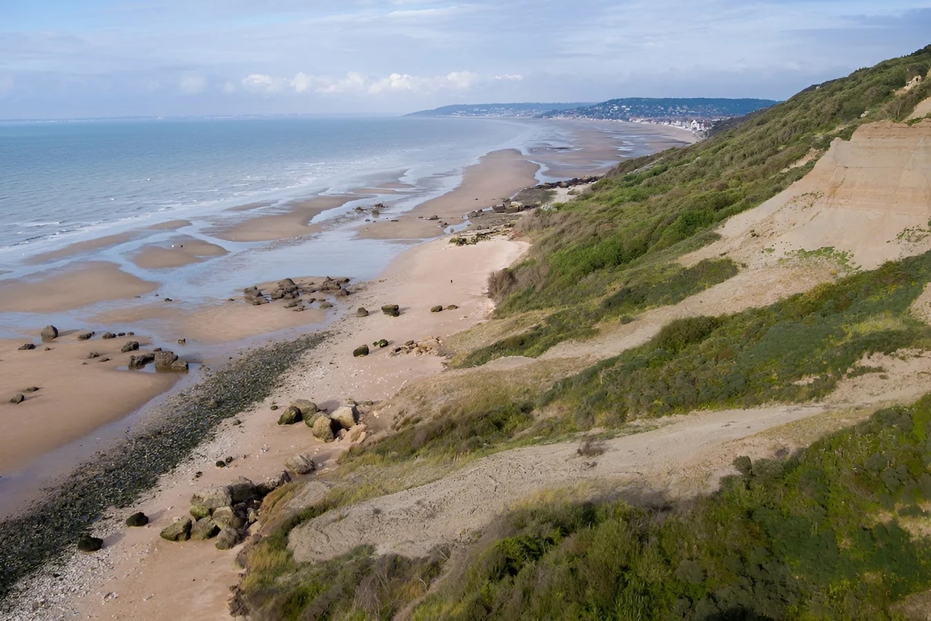 FALAISE VACHES NOIRES.jpg